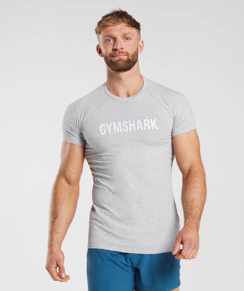 T Shirts Męskie Gymshark Apollo Głęboka Szare | PL 3873SGL